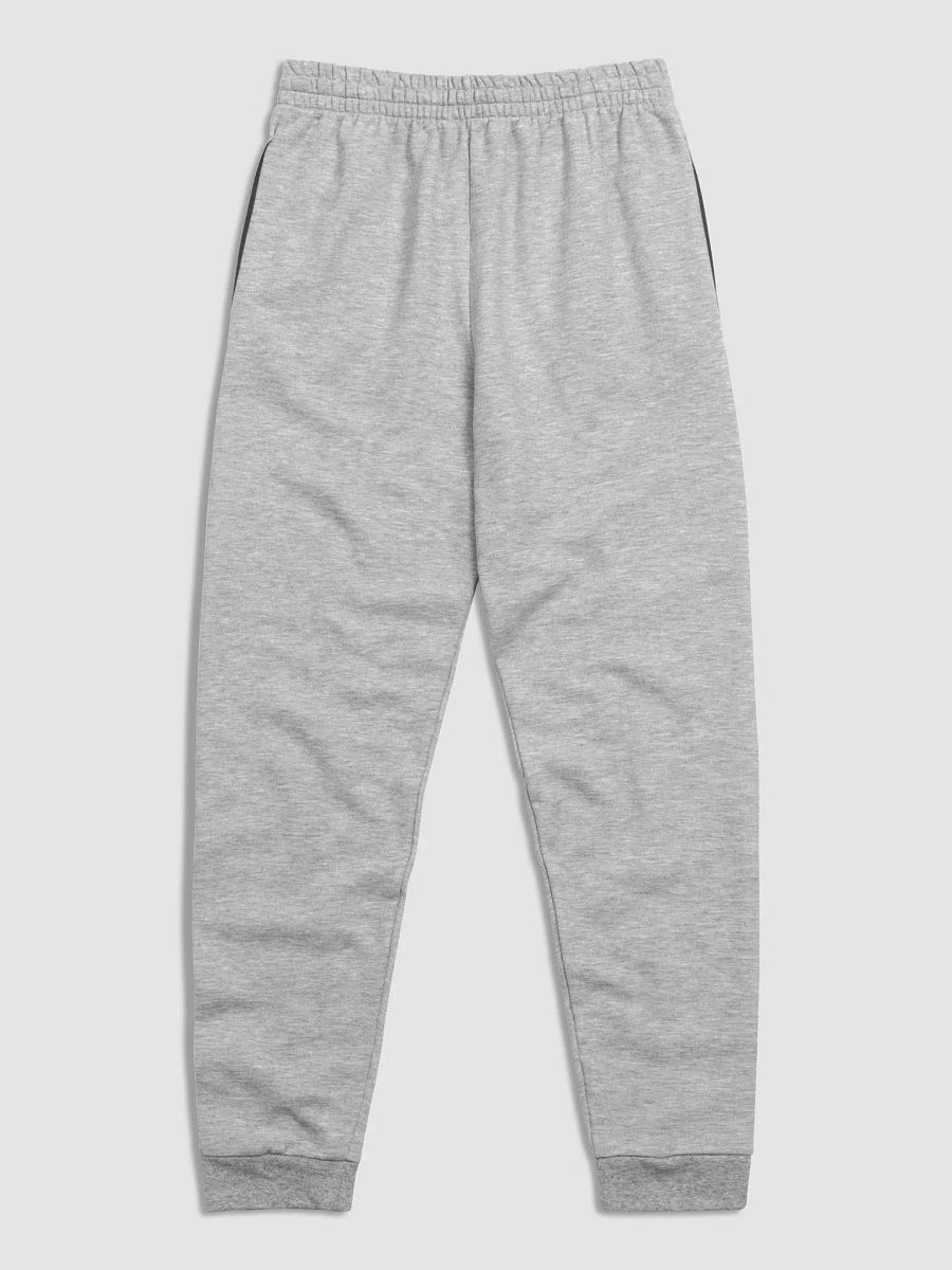 “It’s all a bit!!!” (long lined design, #A6073C) unisex joggers product image (4)