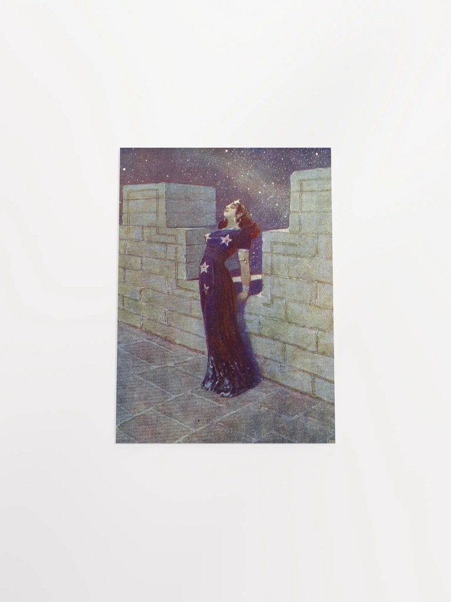 Illustration by Artuš Scheiner Poster product image (4)