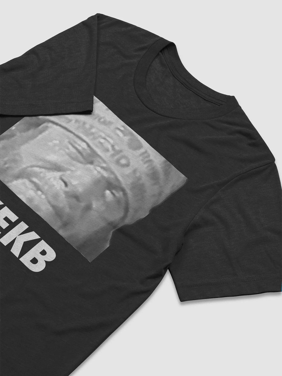 KEKB Tee product image (3)