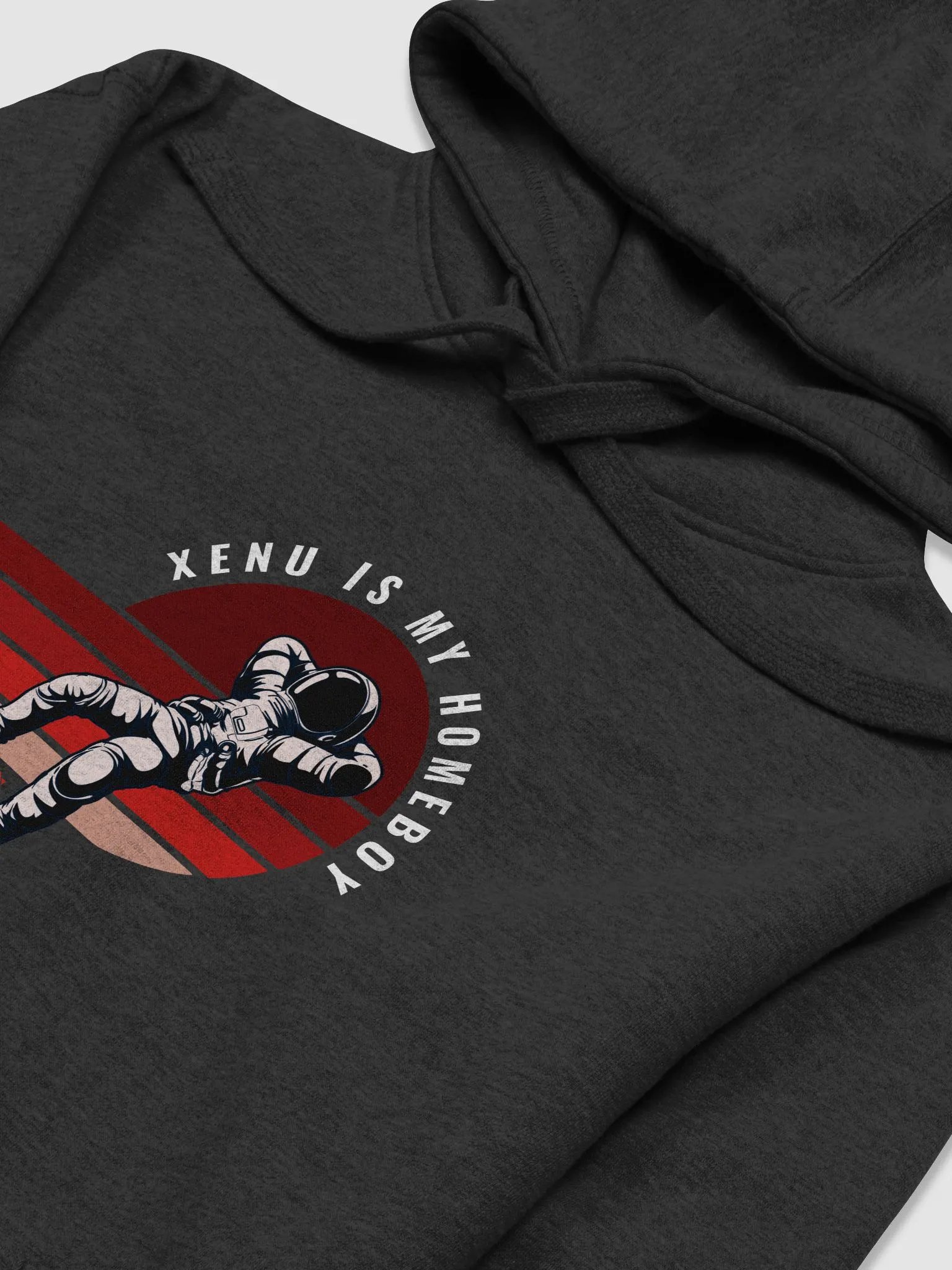 Xenu Is My Homeboy - Unisex Hoodie product image (3)
