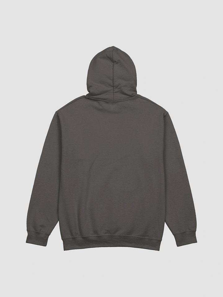Healthy Wealthy Vegetarian & Vegan Hoodie product image (2)