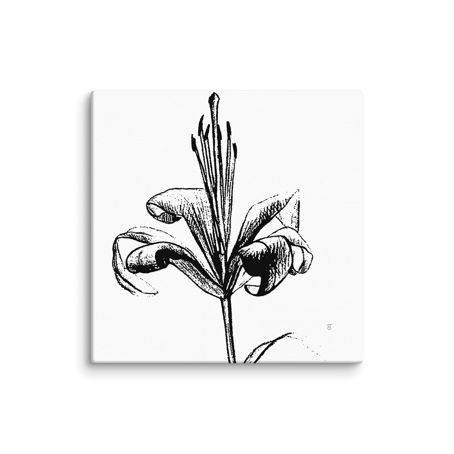 Lily Line Art Canvas Print - Fine Flower Light product image (1)