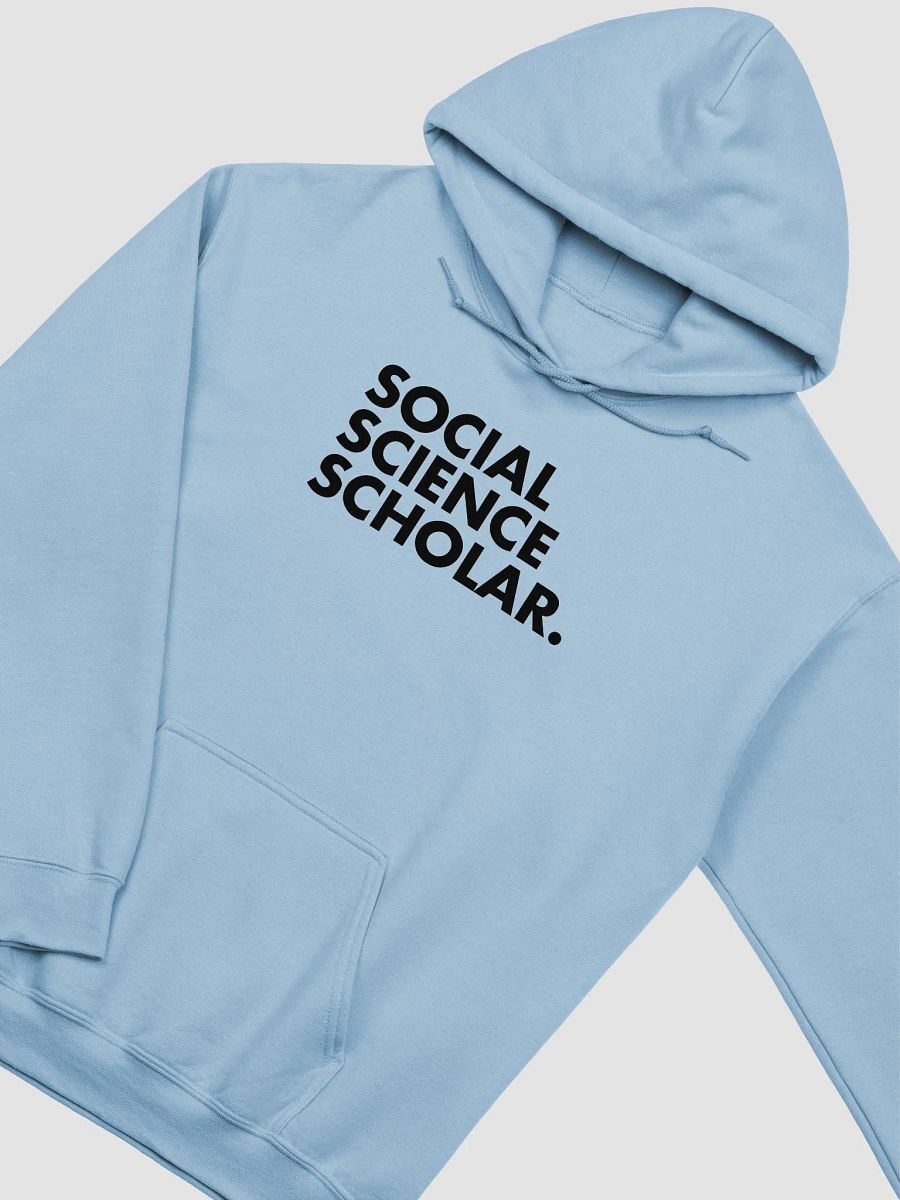 Social Science Scholar Hoodie product image (10)