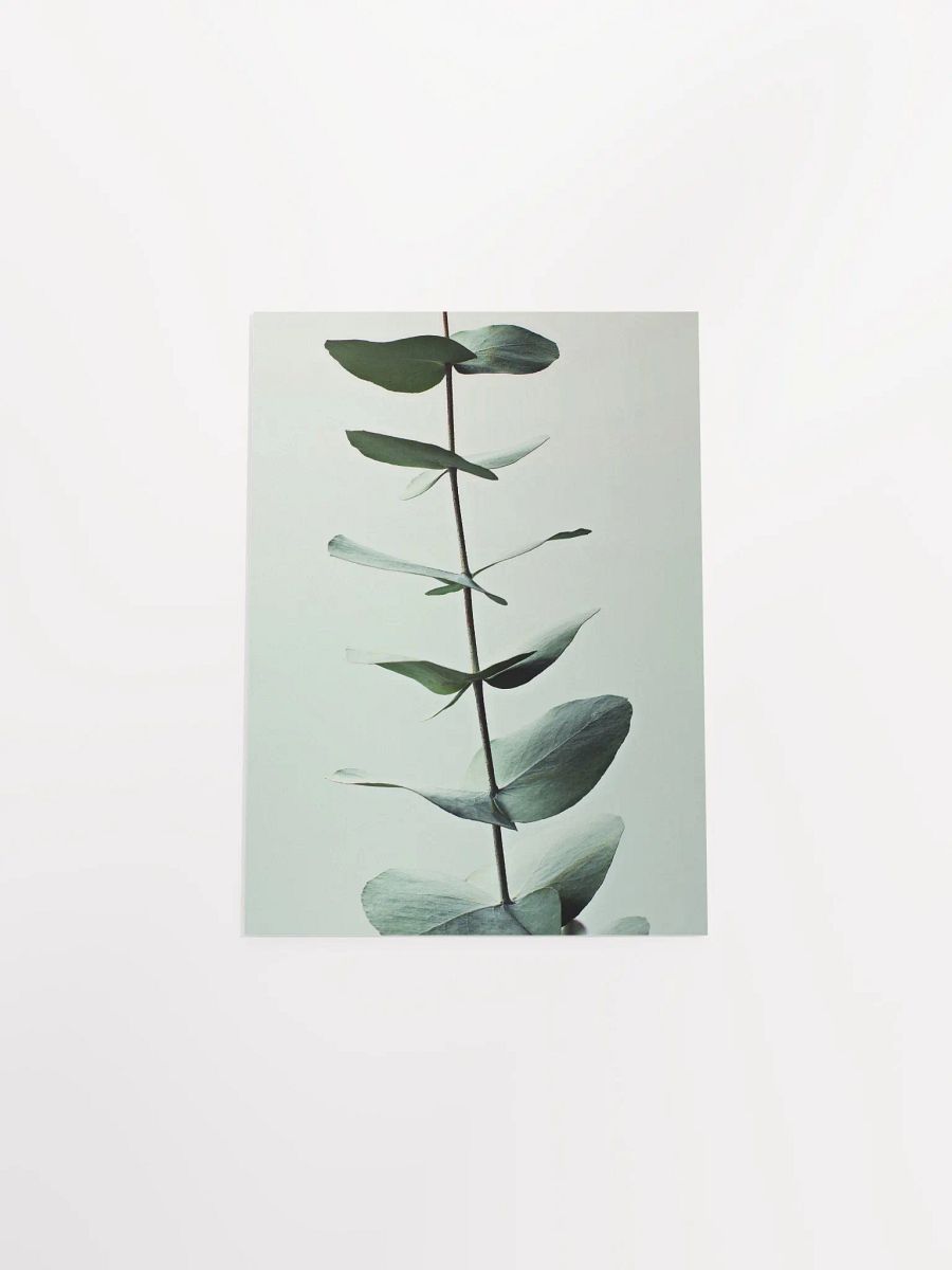 Eucalyptus Whispers Matte Poster product image (47)