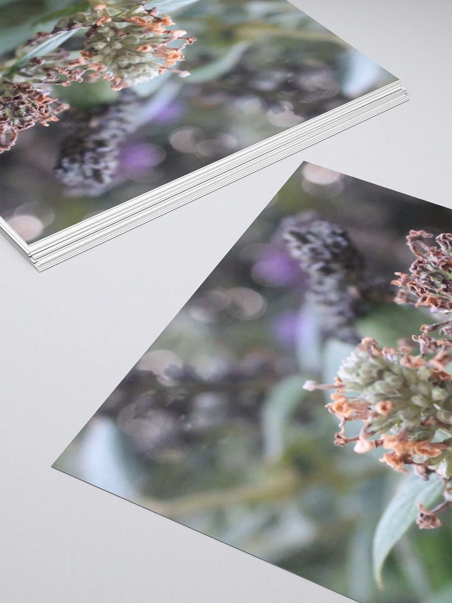 A Study in Flowers 2 - Sticker version product image (12)