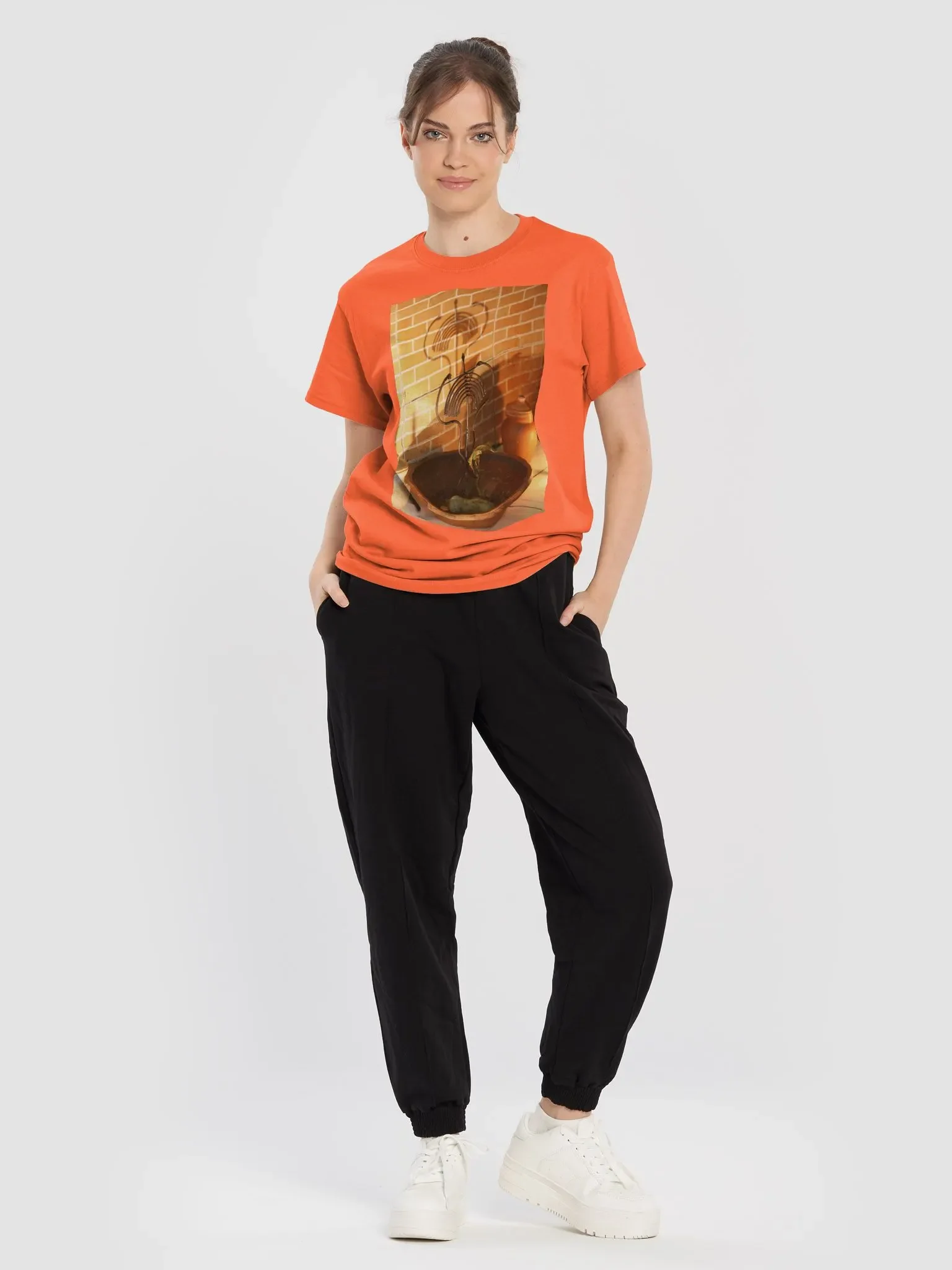 Oxumaré é transformação product image (1)