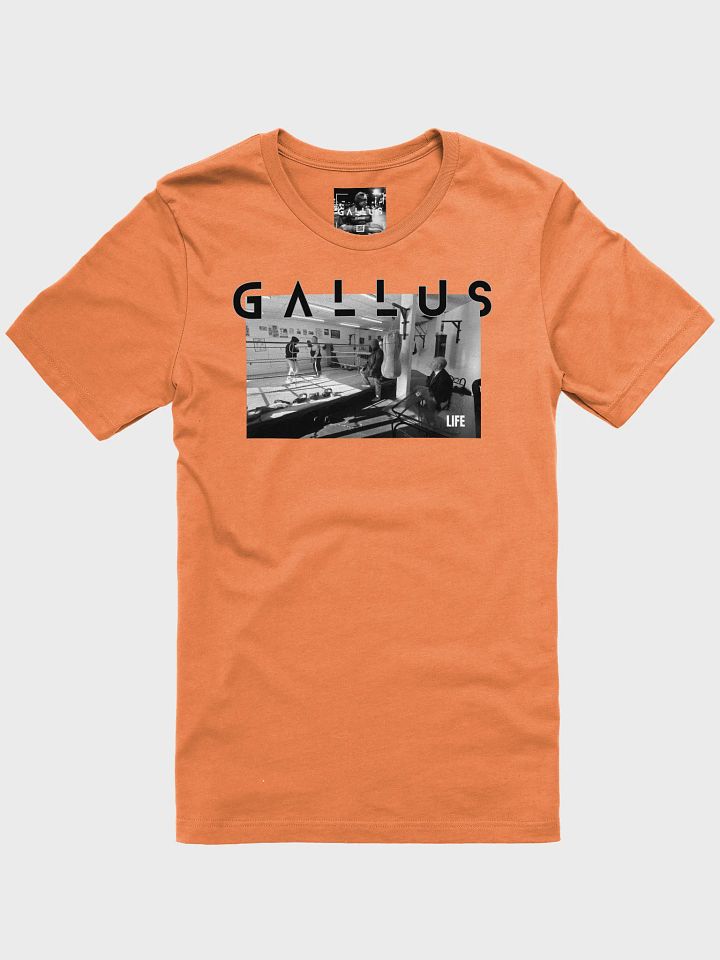 Gallus 2025 Life Collection product image (5)
