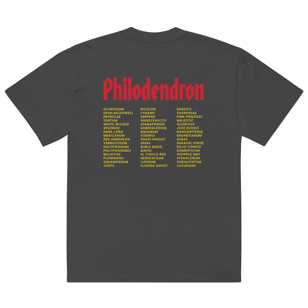 ⚡️ PHILODENDRON WORLD TOUR ⚡️ oversized tee product image (4)