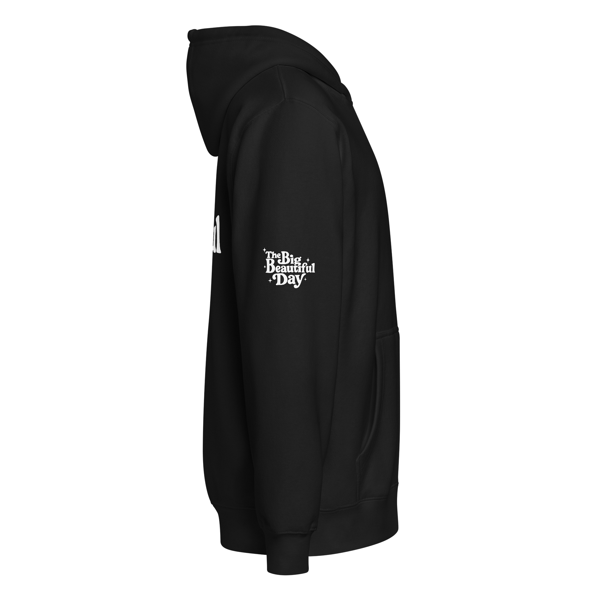 Soaring Big Beautiful Day Zip-Up Hoodie product image (7)