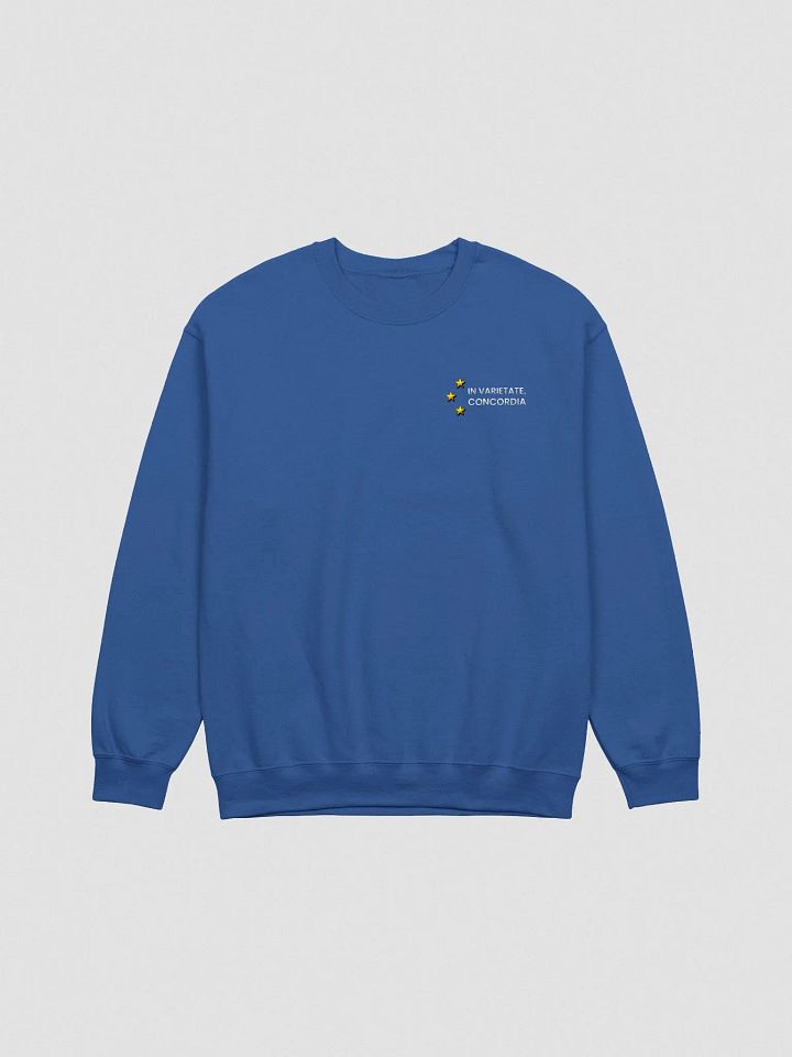 Sweatshirt, Embroidered - In Varietate, Concordia - Blue & Variants product image (2)