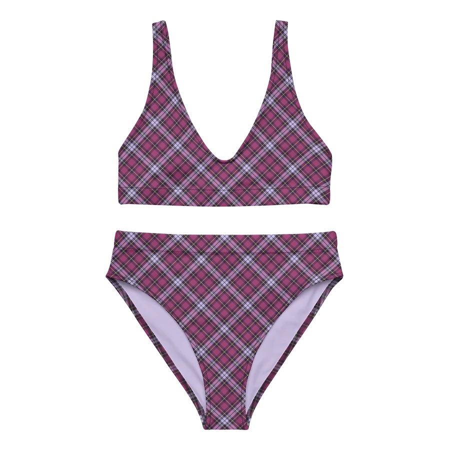 Bright Purple Plaid Bikini product image (2)