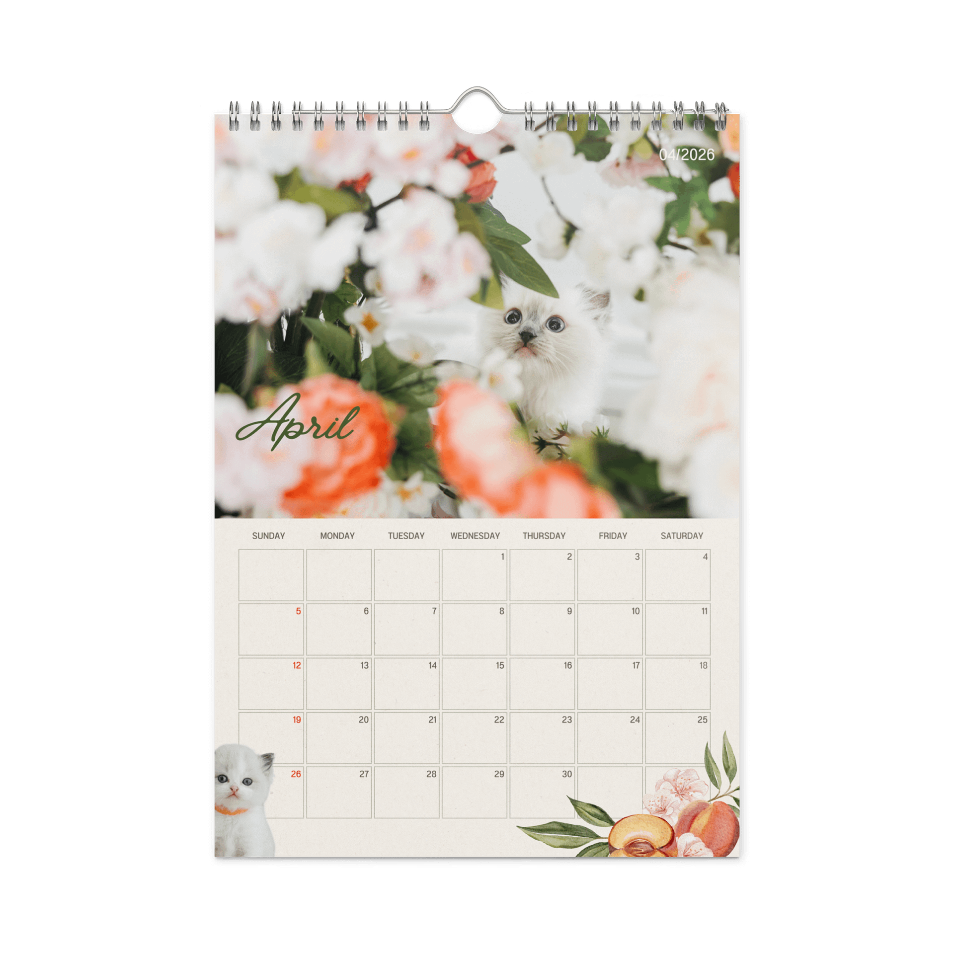 2026 Pearl's Ragdolls Calendar product image (2)