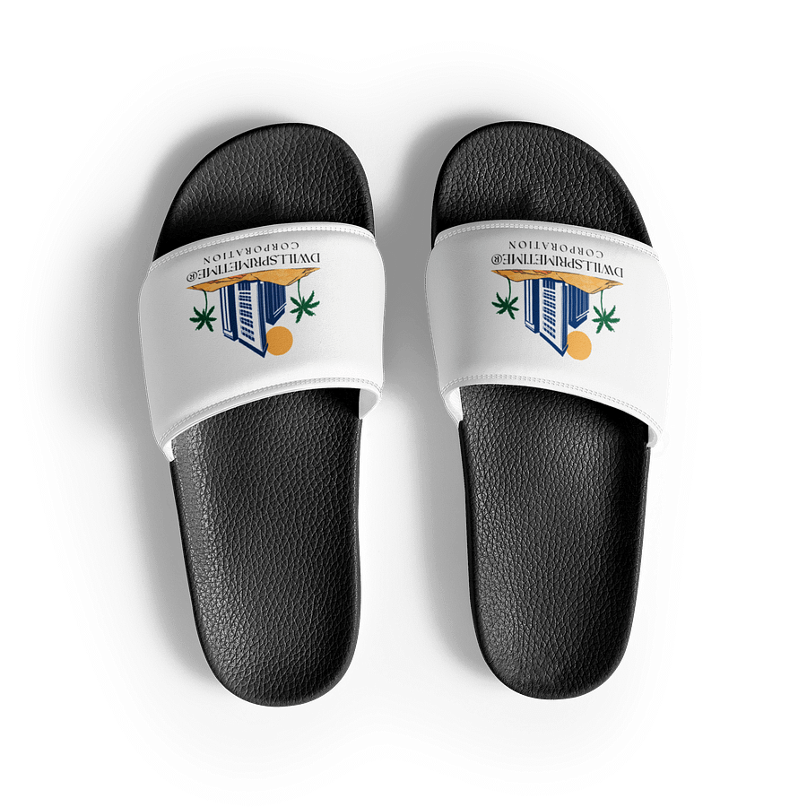 Dwillsprimetime Corporation Men's Slides product image (3)