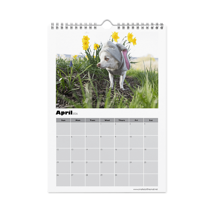 Smallest of the Small 2026 Calendar product image (1)