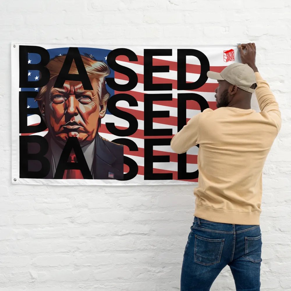 BASED American Flag Mugshot ~Flag~ product image (8)