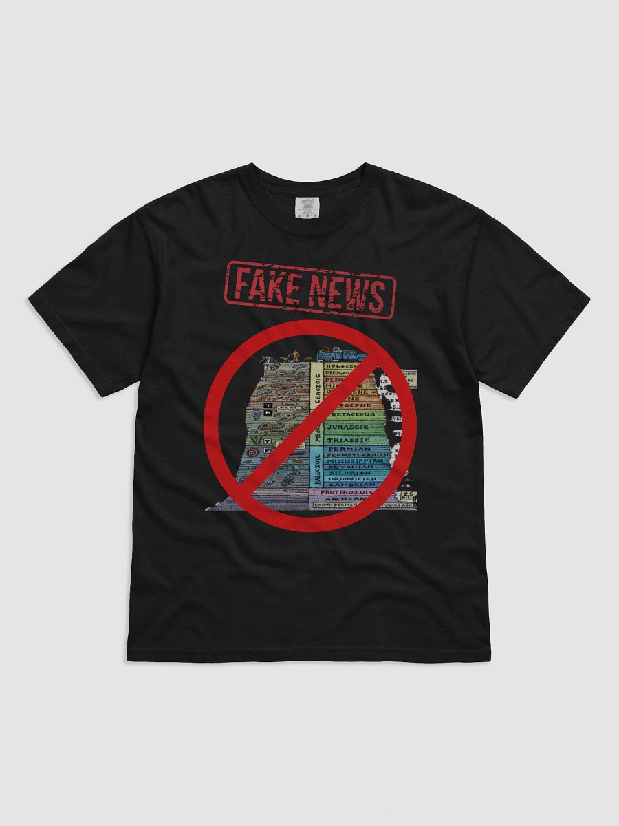 FAKE NEWS product image (1)