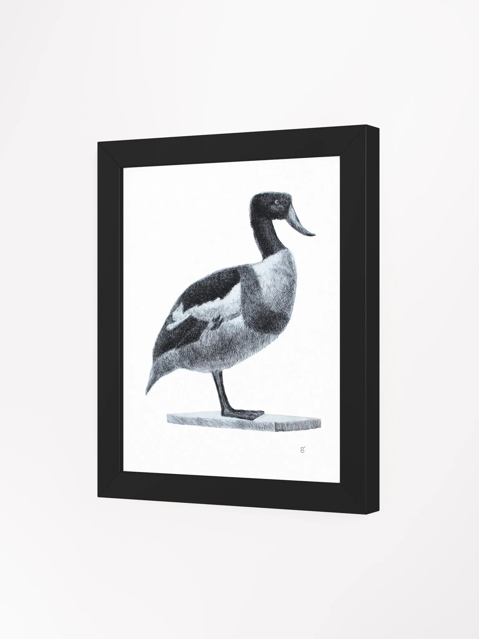 Serene Solitude: Framed Duck Illustration - Duck product image (9)