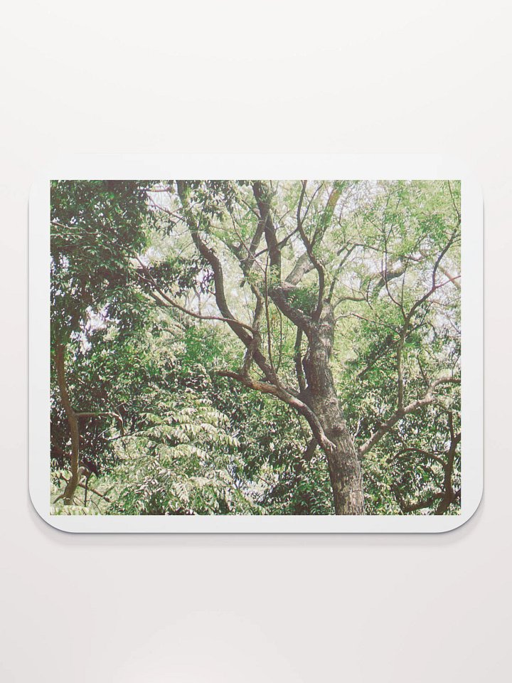 EARTH TONE MOUSE PAD product image (2)