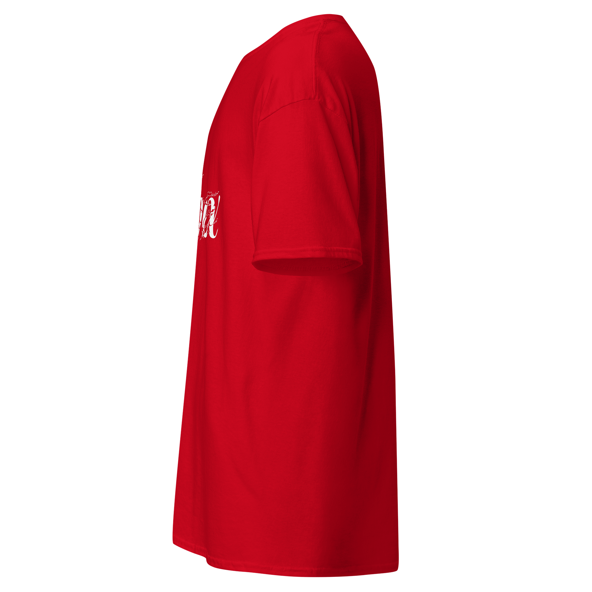 Reebox Script Logo Heavyweight Tee product image (5)