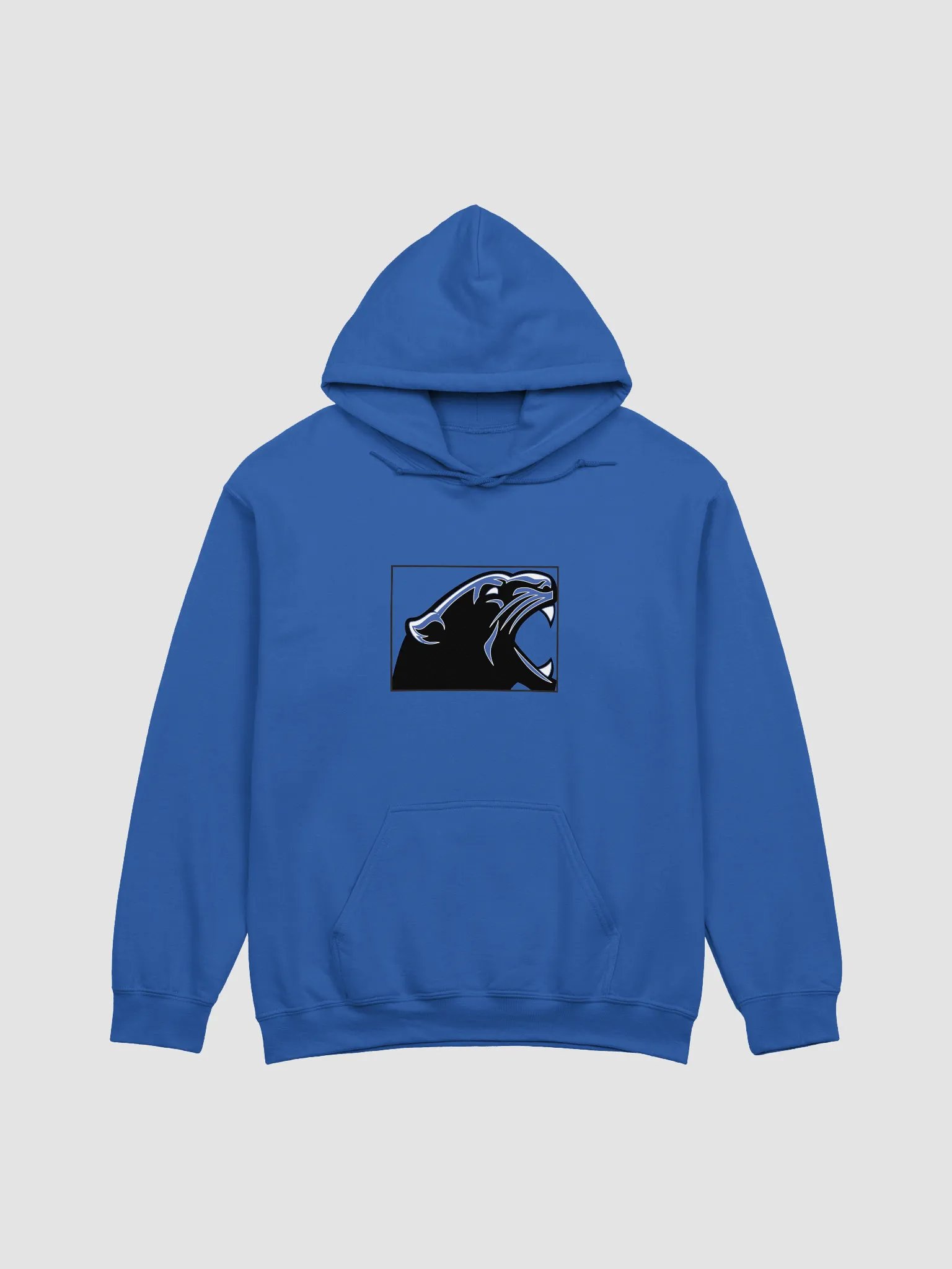 NCI Team Hoodie product image (3)