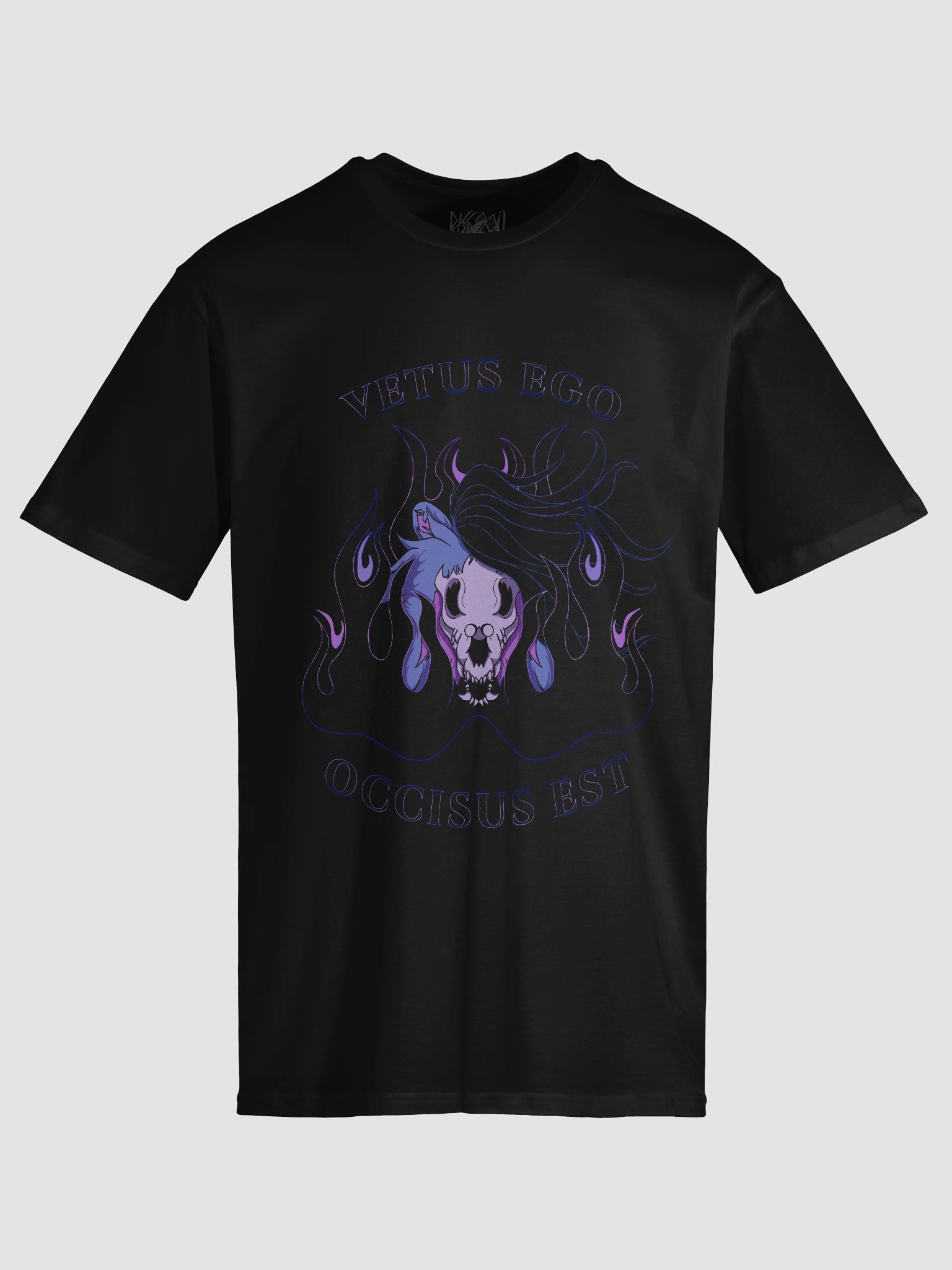 SLAY THE PAST product image (5)