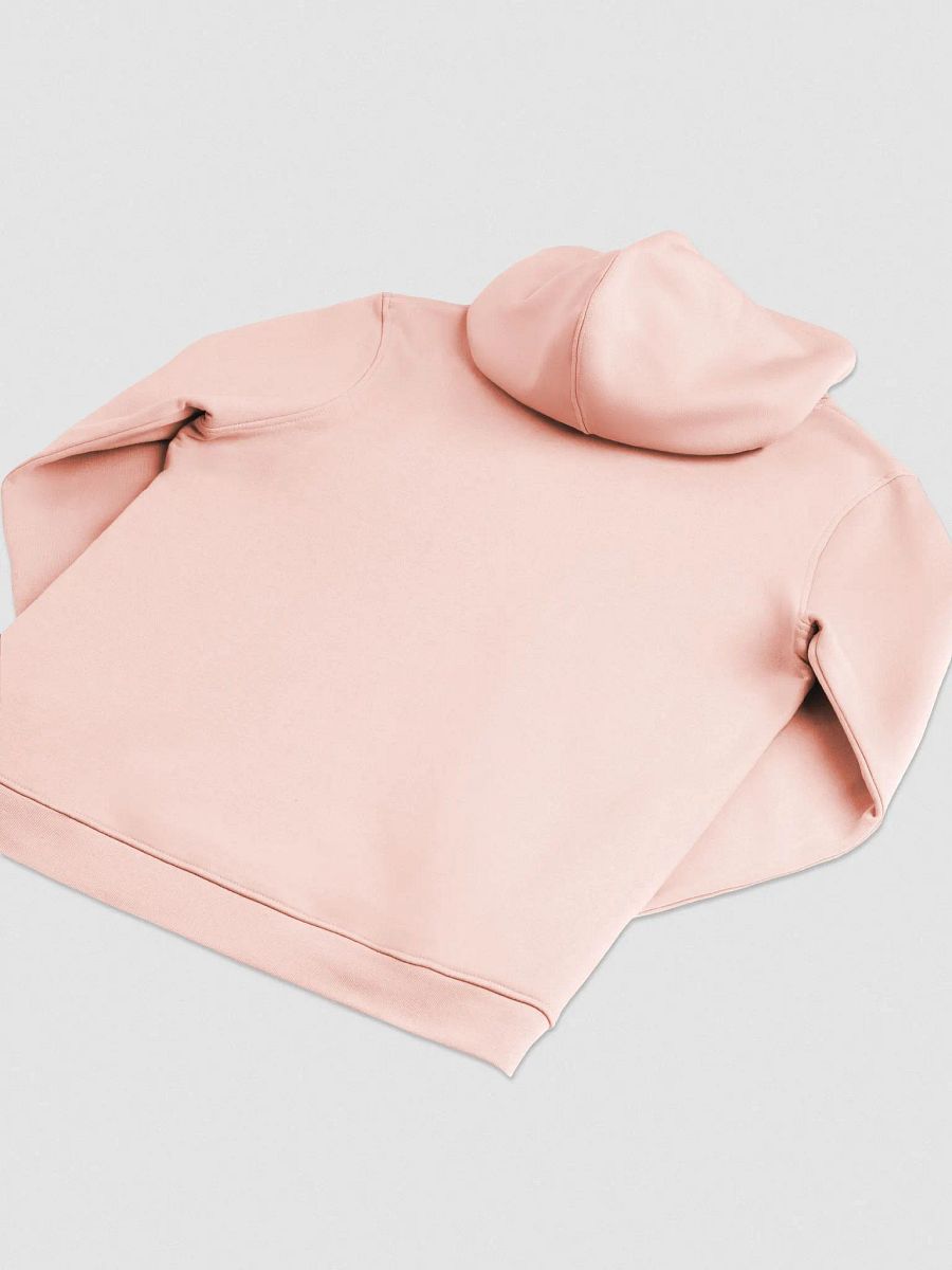 Familien Hoodie Vrouw | Geborduurd product image (4)