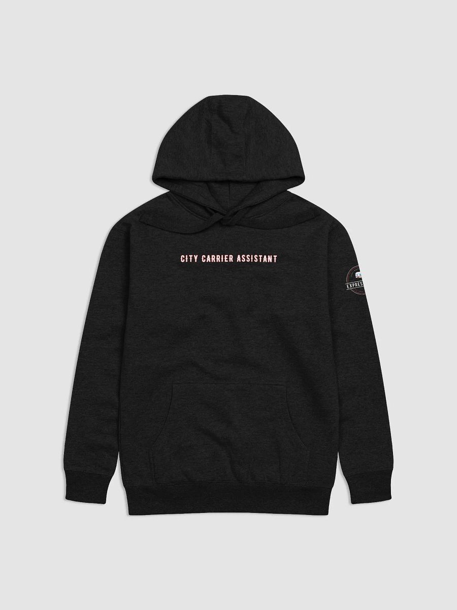 Express Male CCA Logo "Looping" Hoodie - BLACK product image (1)