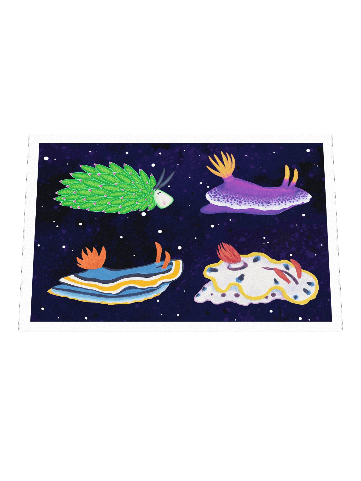 Sea Slugs: Set 2 - Print product image (2)