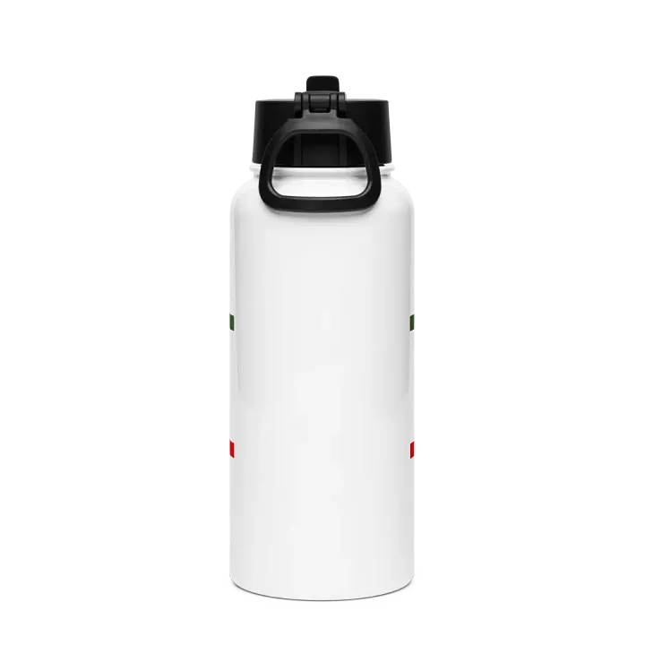 insulated water bottle product image (2)