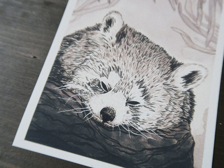 print : red panda product image (2)