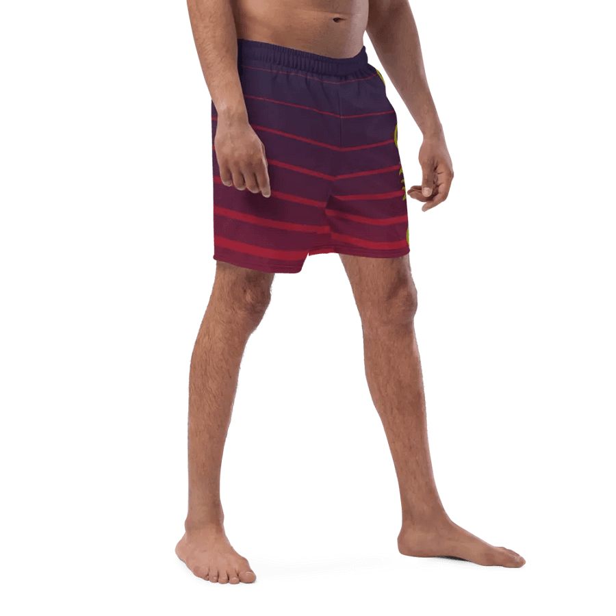 Toke Swim Trunks product image (3)