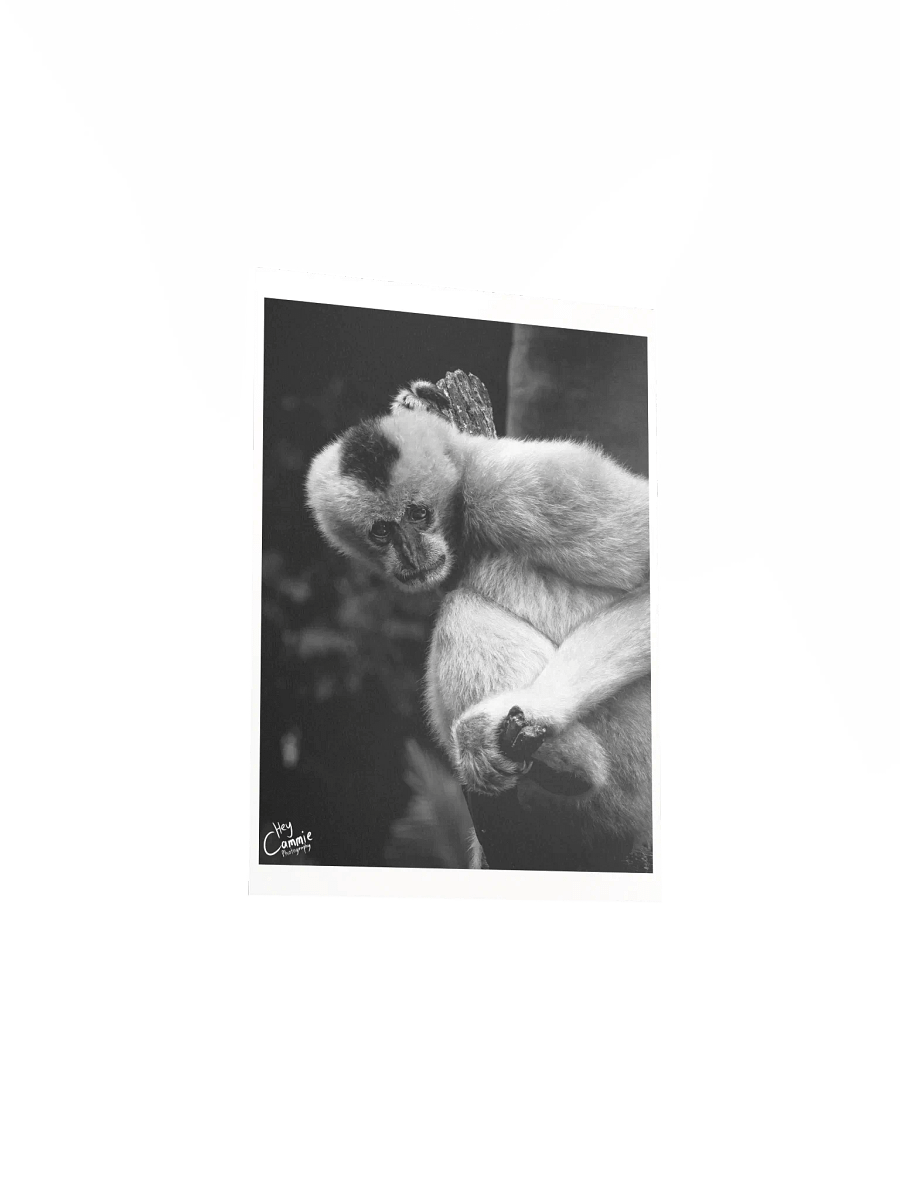 The Gibbon In The Tree - Print product image (3)