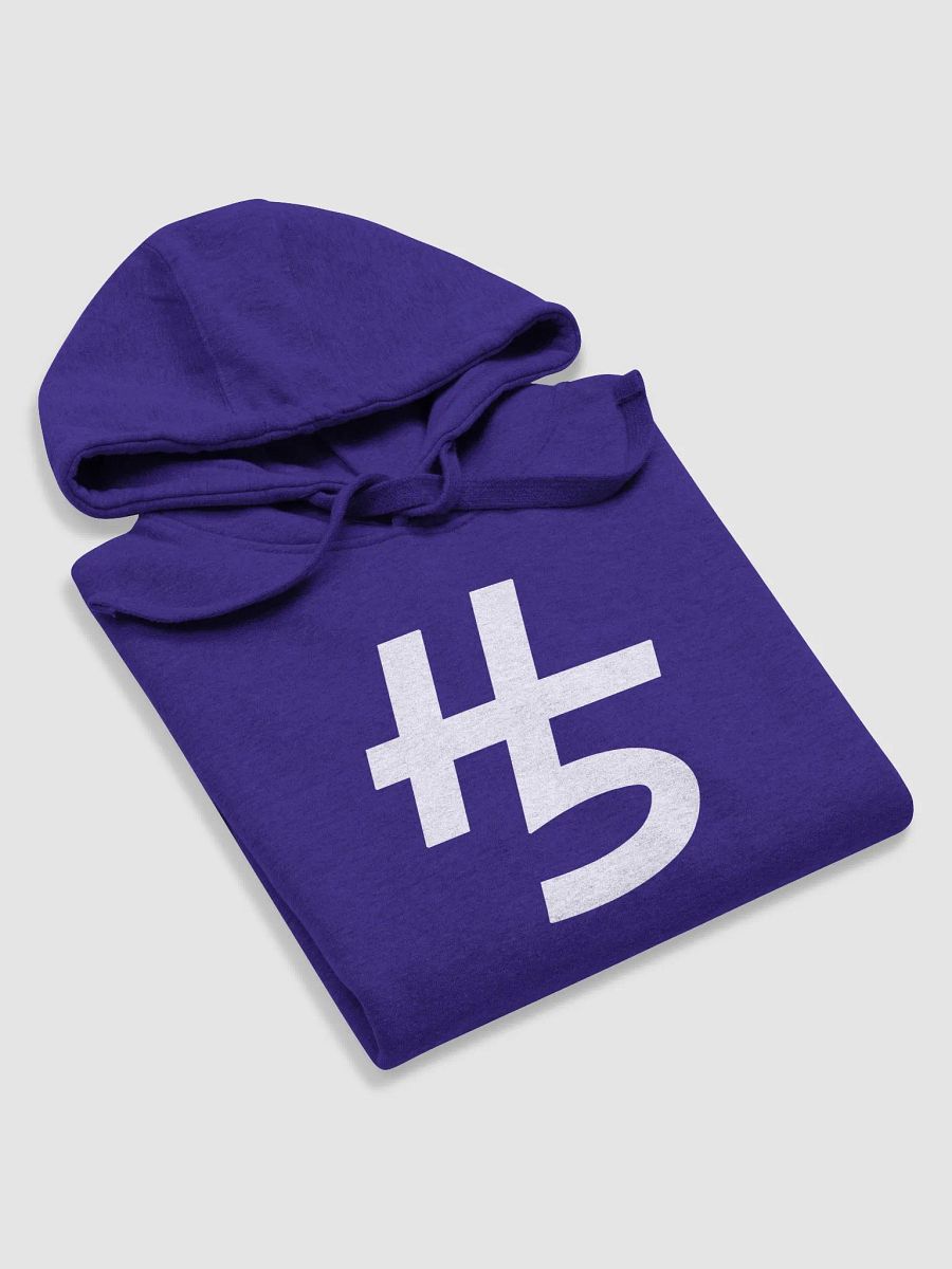 H5 Hoodie product image (6)