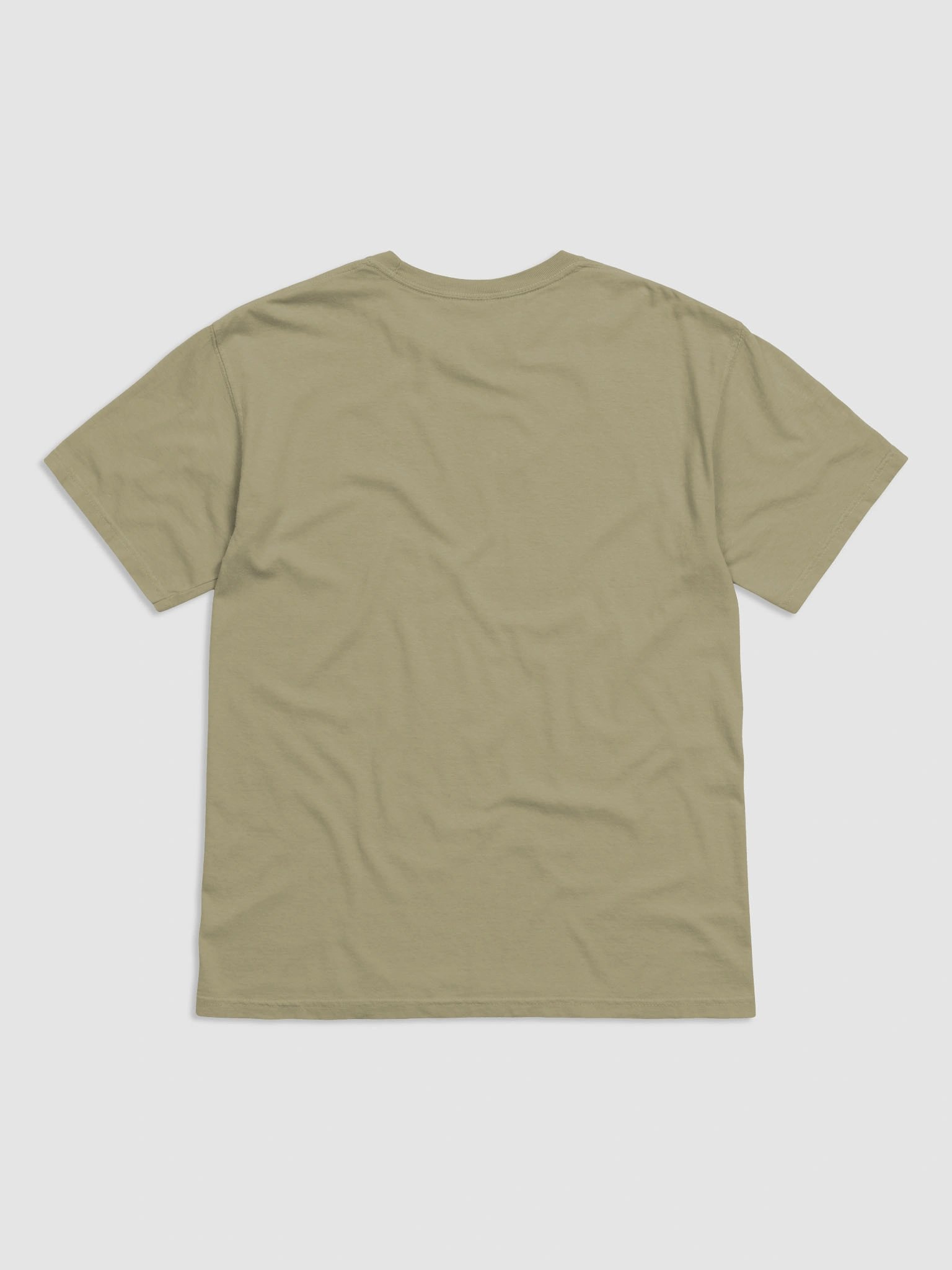 Sterling Miller Comfort Colors Tee — Florida Alligator product image (2)