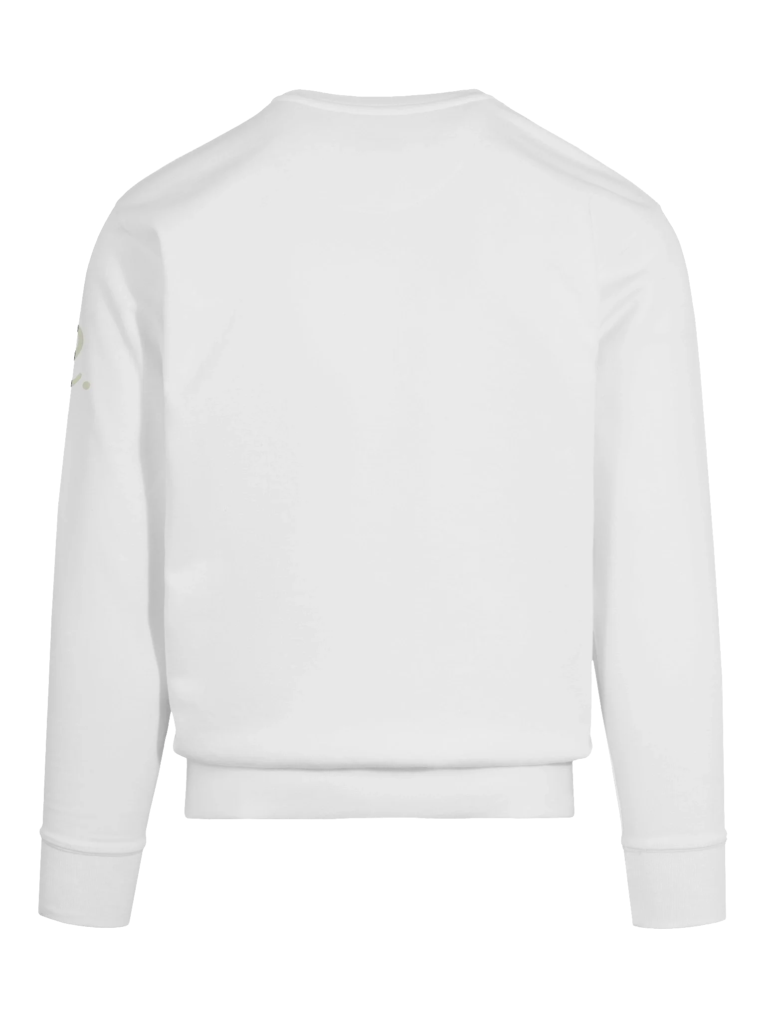 Signature Off-White Reef Premium Sweatshirt product image (11)