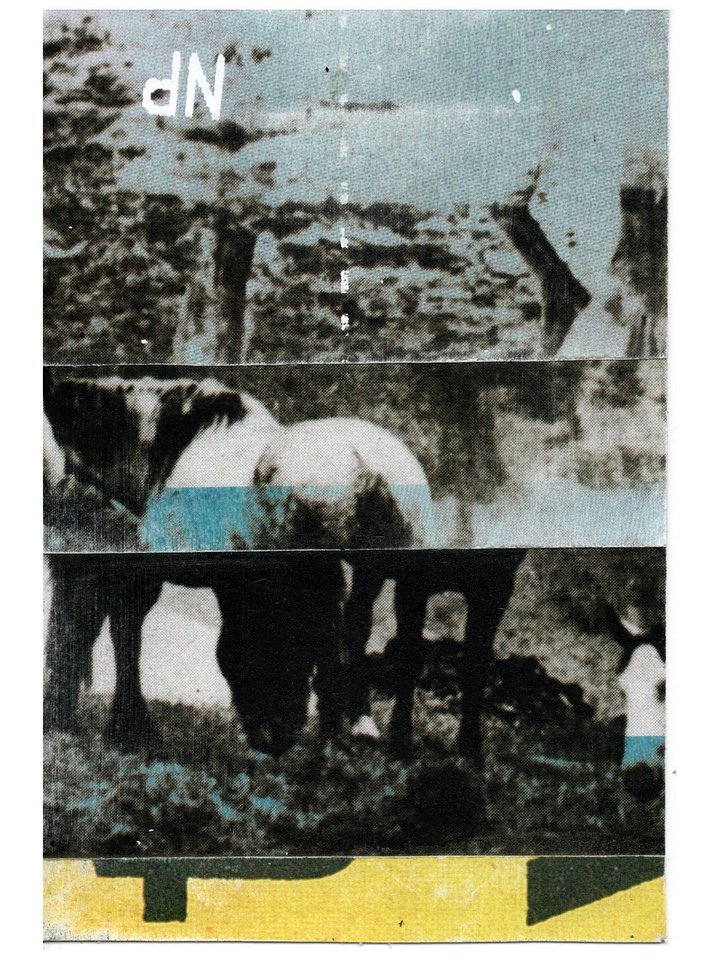 a wilderness associated product image (1)