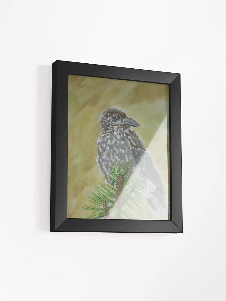 Member bonus: Corvid Series [09] Spotted Nutcracker Framed Print product image (2)