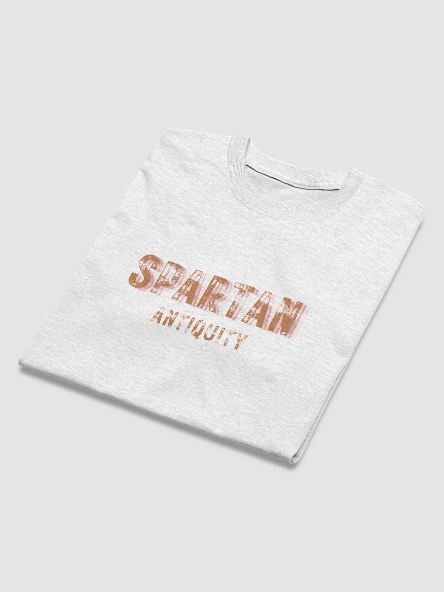 Spartan Antiquity Distressed Tee product image (42)