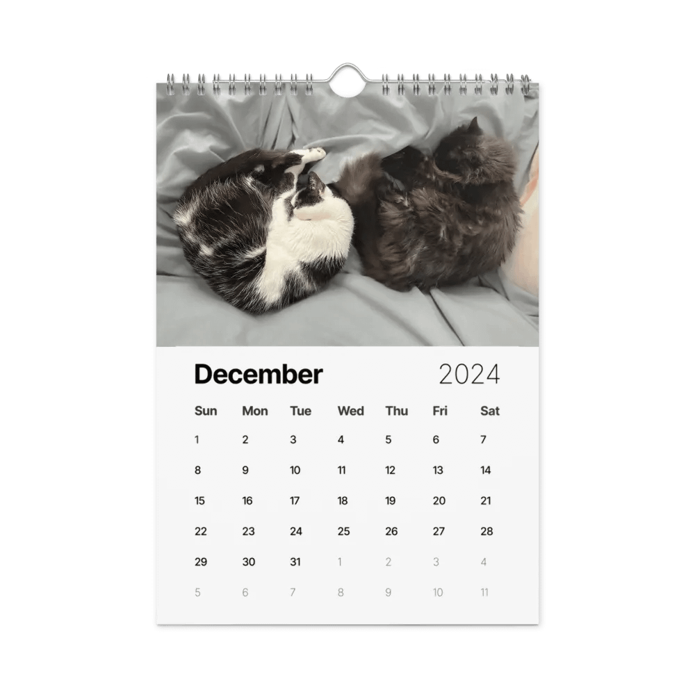 The 2024 ShoKo Cat Calendar product image (6)