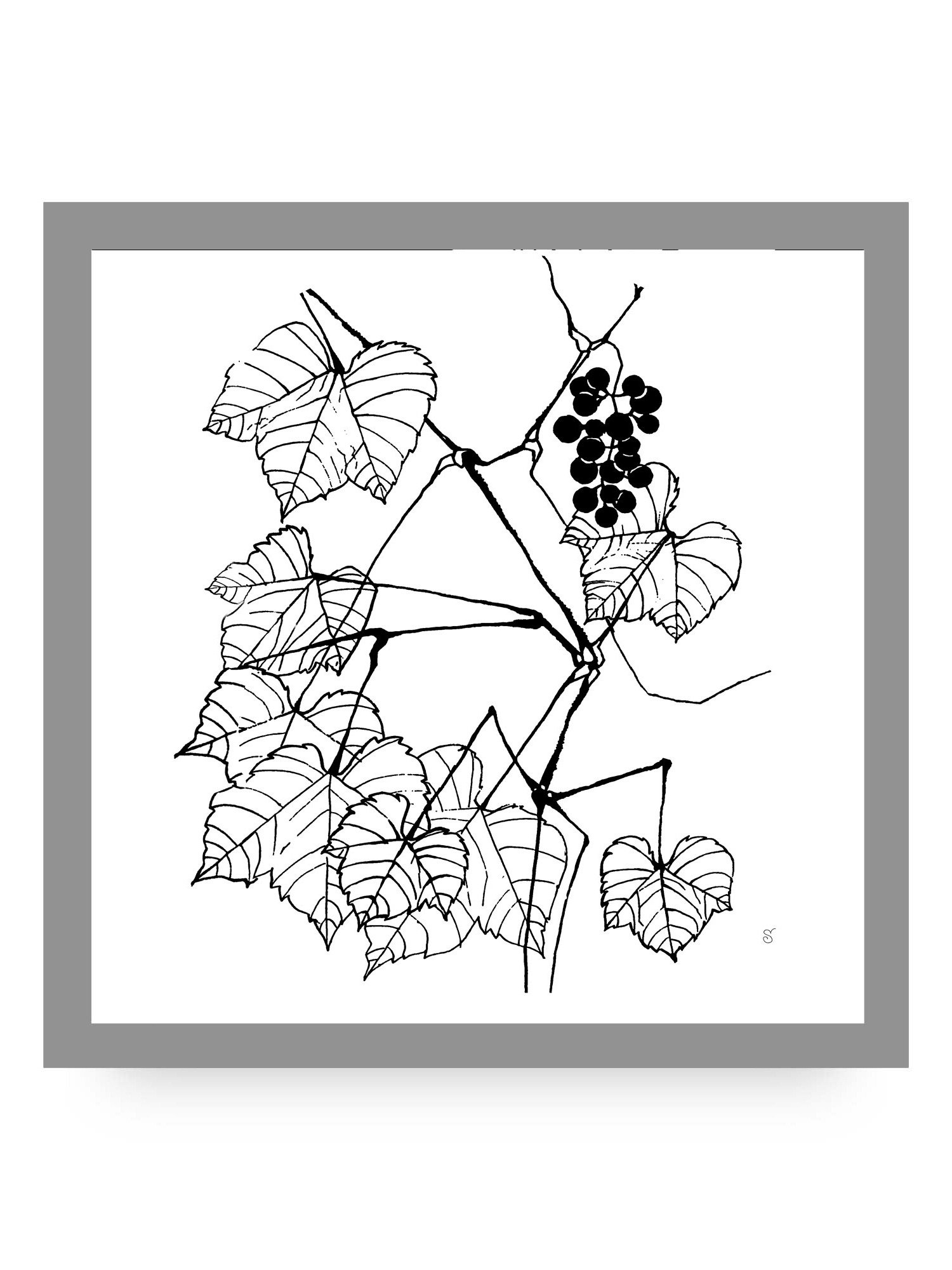 Blank Canvas: Unleash Your Artistic Vision - Grape Leaves Elegant product image (9)