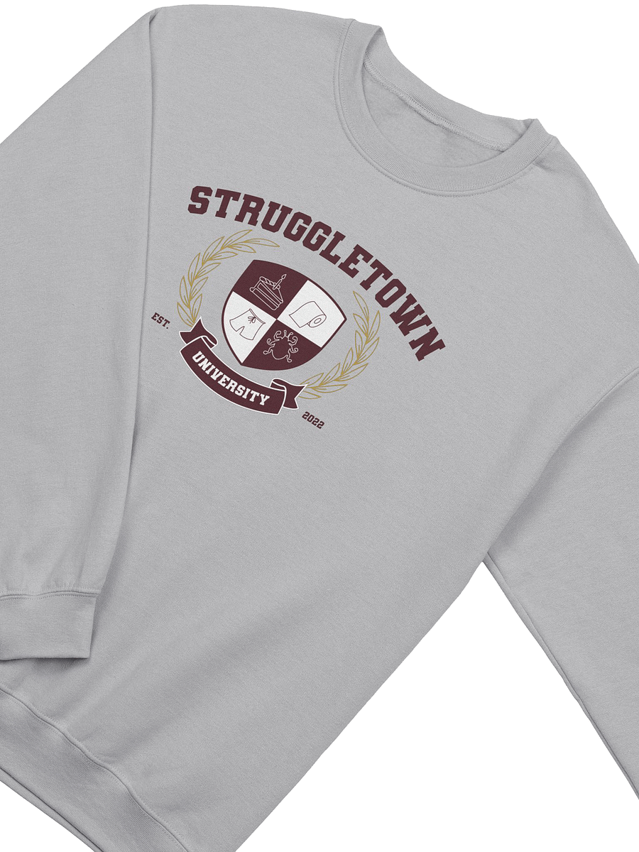 Struggletown University - Grey product image (3)