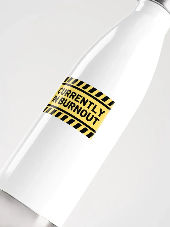 CURRENTLY IN BURNOUT stainless steel water bottle product image (6)