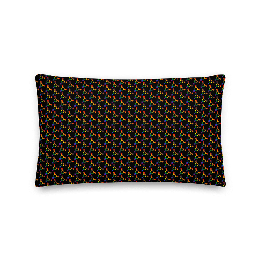 LGBTQIAP2S+ 2025, Sounds Queer I'm In, Pillow product image (5)