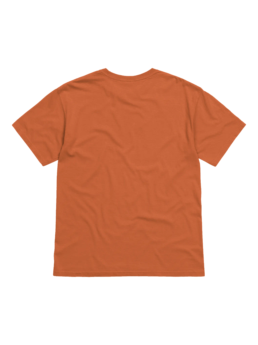 Hallowed Arenas T-Shirt product image (6)