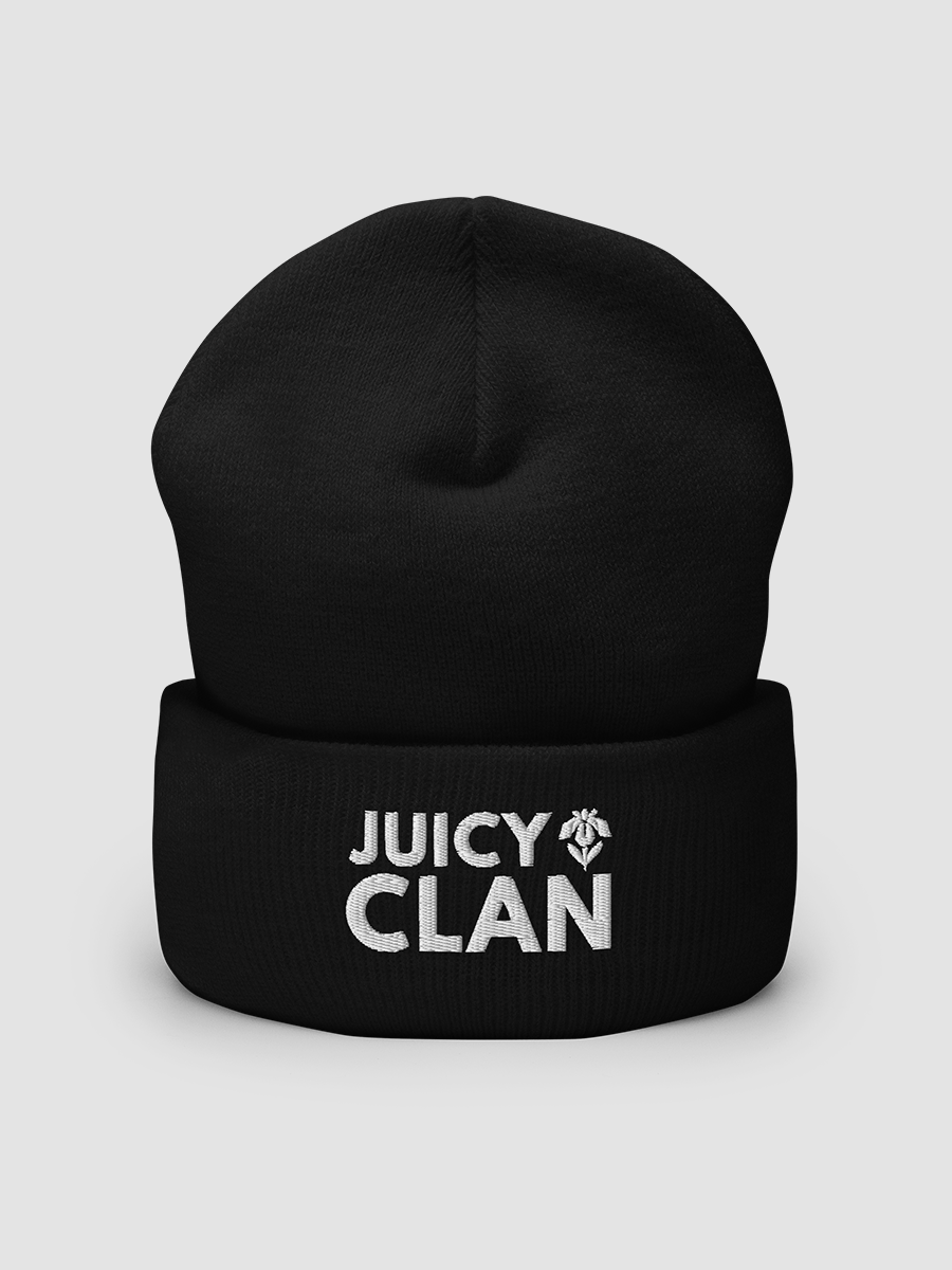 Embroidered Cuffed Beanie - JUICY CLAN product image (1)