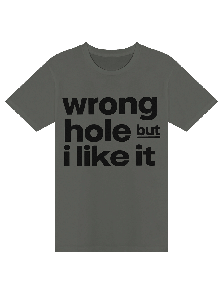 Wrong Hole But I Like It Tee product image (3)
