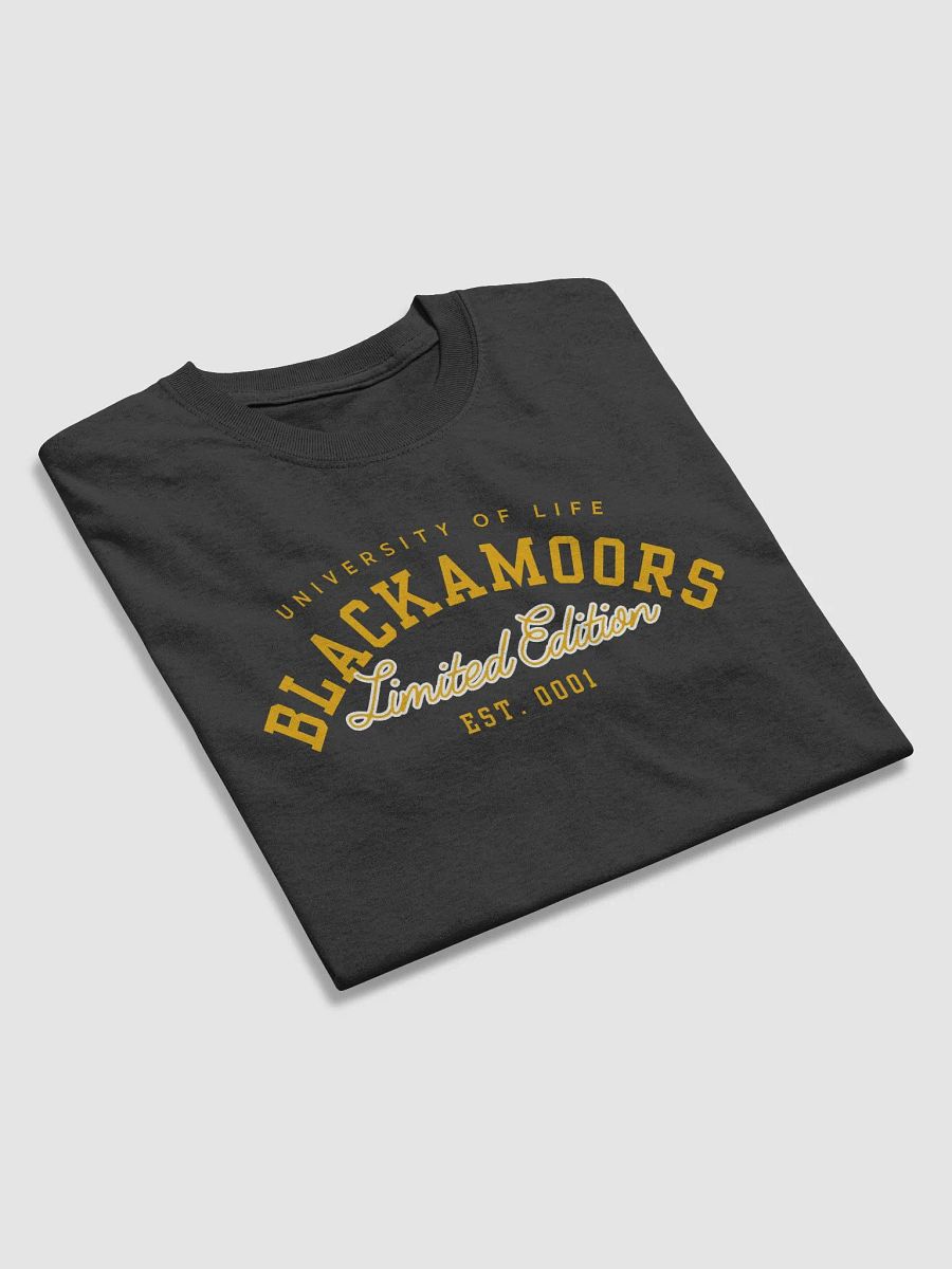 Blackamoors University product image (3)