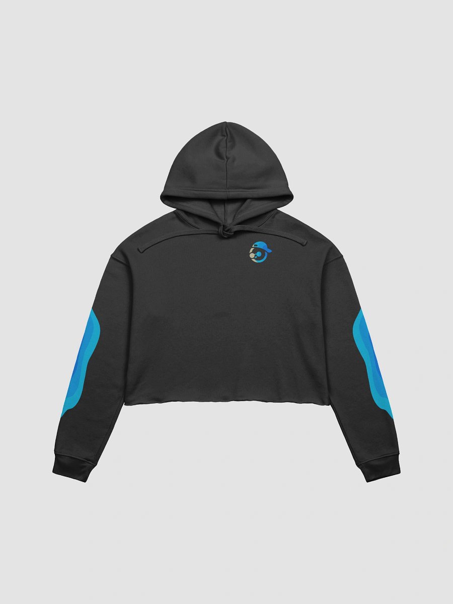 Frosty Relax Cropped Hoodie product image (1)
