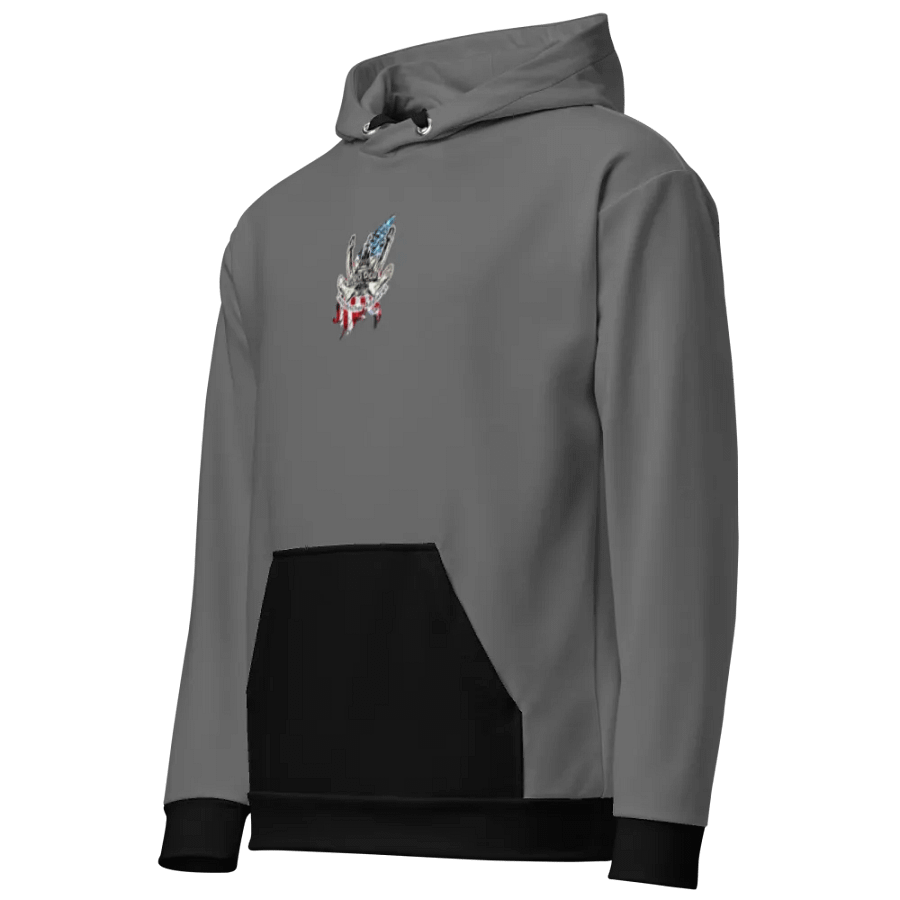Gray Pacific Titan & CE Flage Hoodie product image (3)