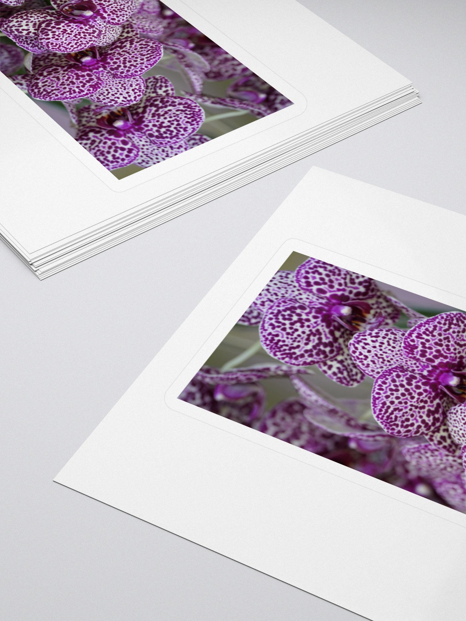 Orchid Cluster Kiss Cut Stickers product image (4)